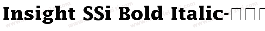 Insight SSi Bold Italic字体转换